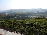 langhe 2021