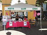motoconcentrazione in rosa