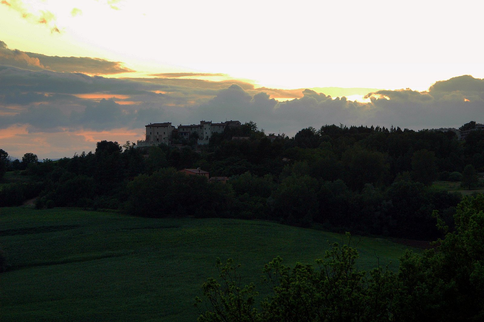 AMARCORD